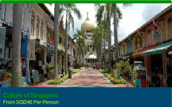 Culture Of Singapore
