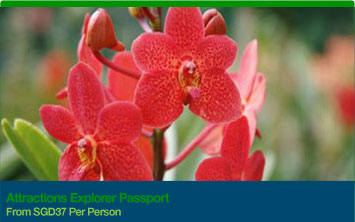 Attractions Explorer Passport